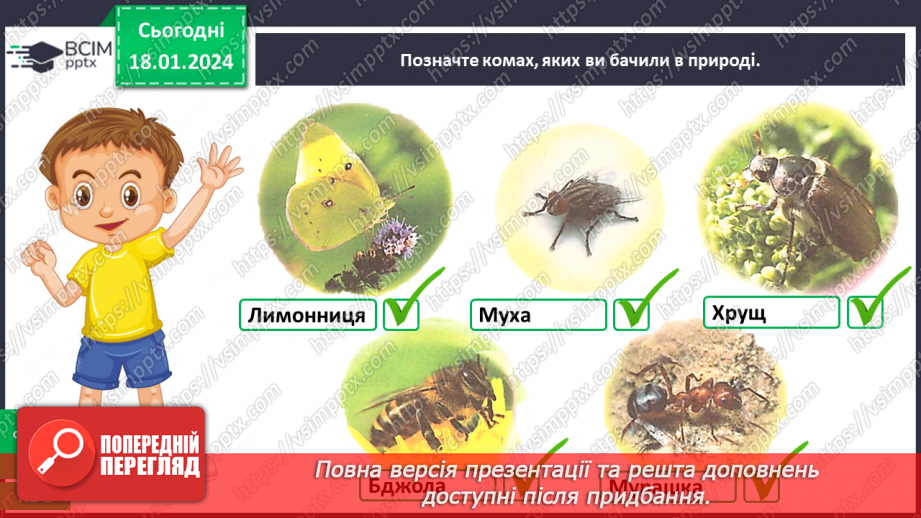 №055 - Чим цікавий світ комах10 №055 - Чим цікавий світ комах10