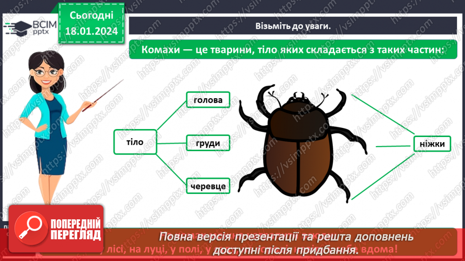 №055 - Чим цікавий світ комах5 №055 - Чим цікавий світ комах5