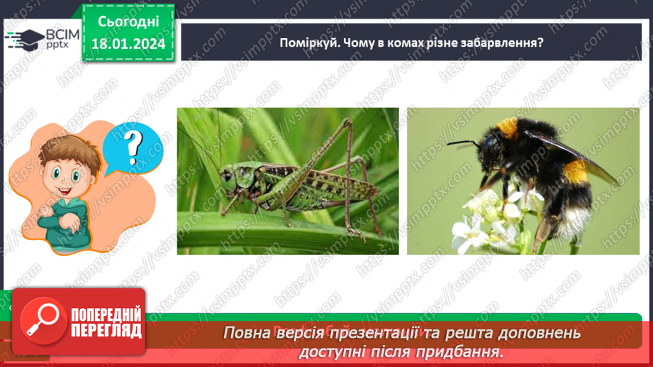 №055 - Чим цікавий світ комах14 №055 - Чим цікавий світ комах14