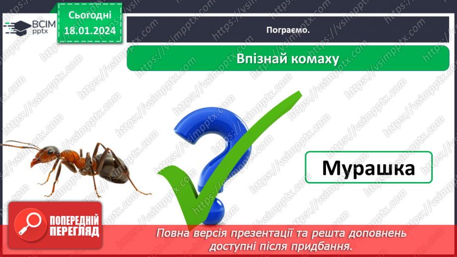 №055 - Чим цікавий світ комах20 №055 - Чим цікавий світ комах20