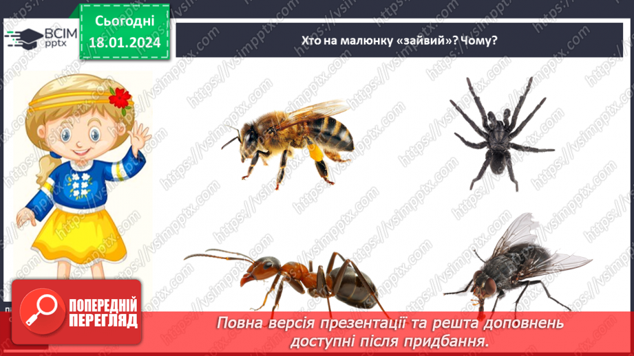 №055 - Чим цікавий світ комах7 №055 - Чим цікавий світ комах7