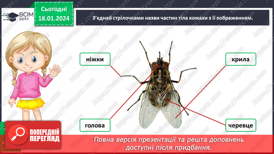 №055 - Чим цікавий світ комах12 №055 - Чим цікавий світ комах12