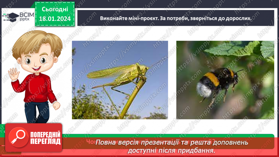 №055 - Чим цікавий світ комах13 №055 - Чим цікавий світ комах13