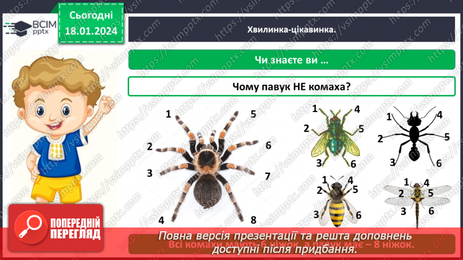 №055 - Чим цікавий світ комах6 №055 - Чим цікавий світ комах6