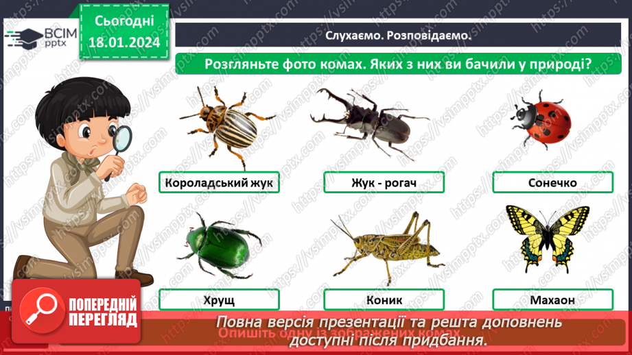 №055 - Чим цікавий світ комах4 №055 - Чим цікавий світ комах4