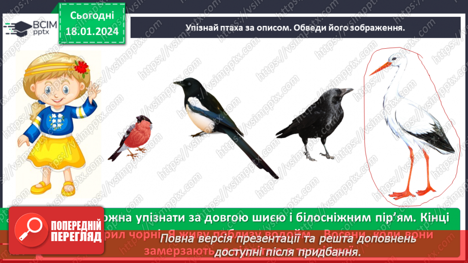 №057 - Чим цікавий світ птахів23 №057 - Чим цікавий світ птахів23