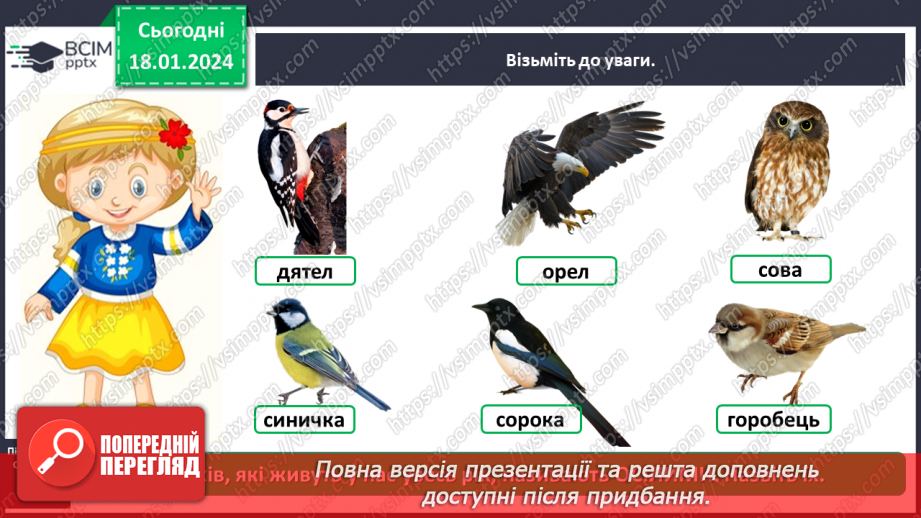 №057 - Чим цікавий світ птахів11 №057 - Чим цікавий світ птахів11