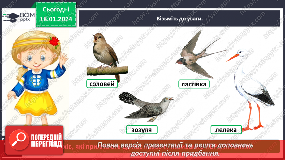 №057 - Чим цікавий світ птахів12 №057 - Чим цікавий світ птахів12