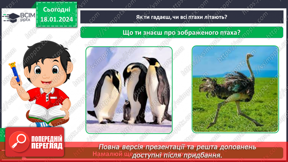 №057 - Чим цікавий світ птахів20 №057 - Чим цікавий світ птахів20