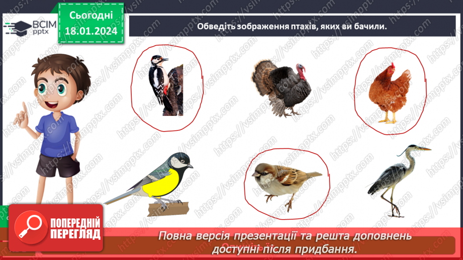 №057 - Чим цікавий світ птахів16 №057 - Чим цікавий світ птахів16