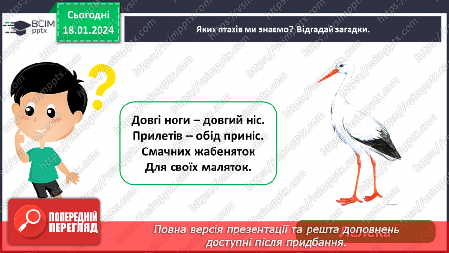 №057 - Чим цікавий світ птахів9 №057 - Чим цікавий світ птахів9
