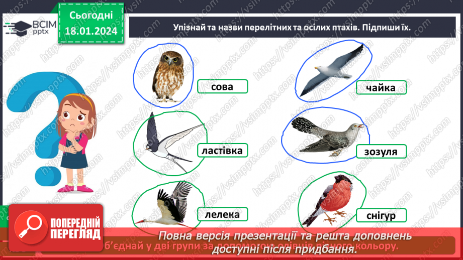 №057 - Чим цікавий світ птахів18 №057 - Чим цікавий світ птахів18