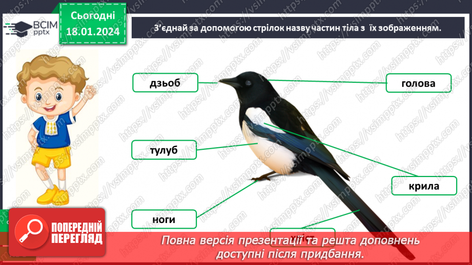 №057 - Чим цікавий світ птахів24 №057 - Чим цікавий світ птахів24