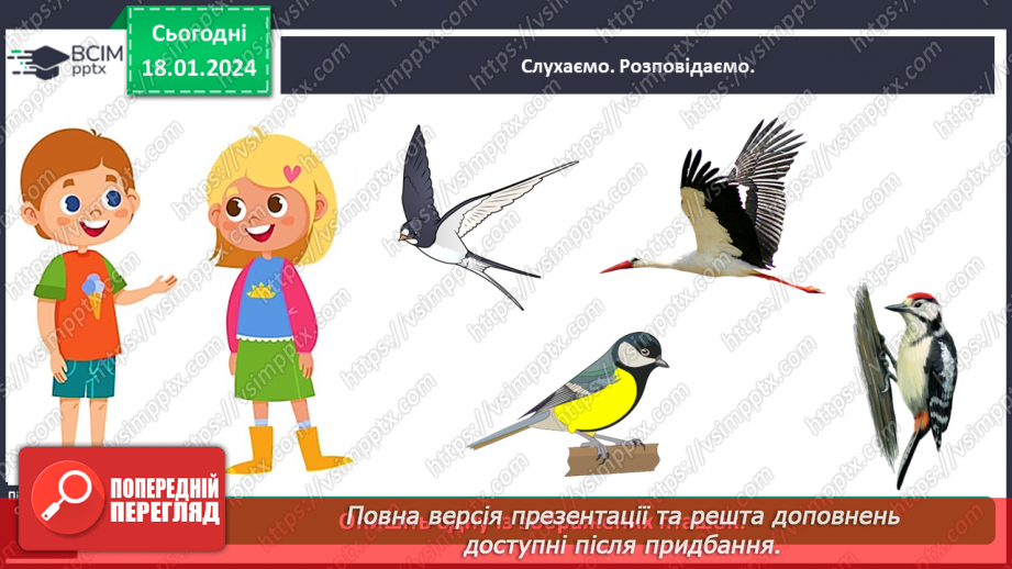 №057 - Чим цікавий світ птахів13 №057 - Чим цікавий світ птахів13