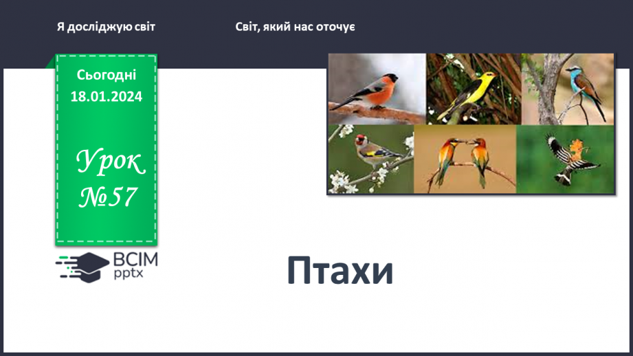 №057 - Чим цікавий світ птахів0 №057 - Чим цікавий світ птахів0