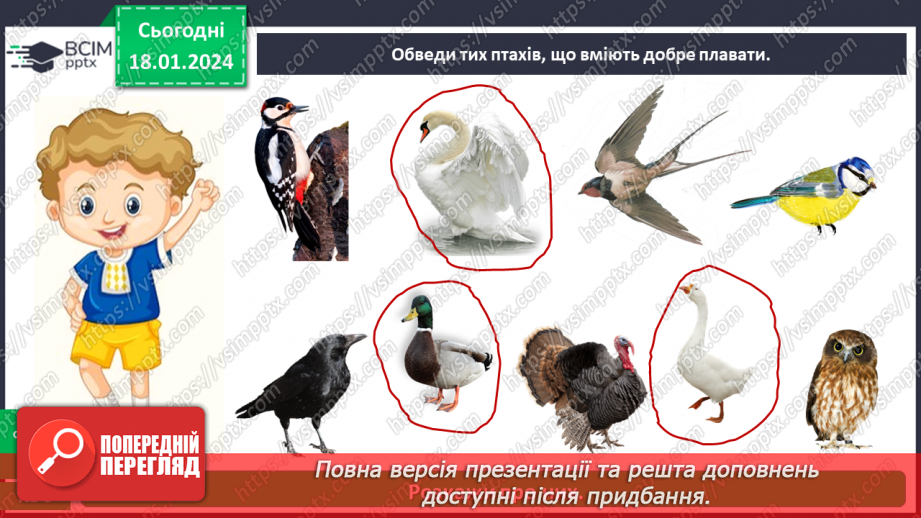 №057 - Чим цікавий світ птахів22 №057 - Чим цікавий світ птахів22