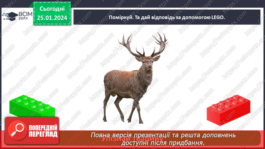 №058 - Чим цікавий світ звірів33 №058 - Чим цікавий світ звірів33