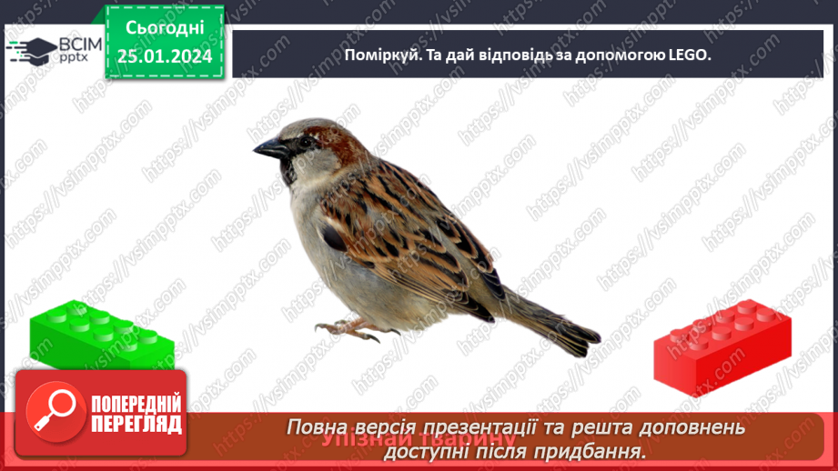 №058 - Чим цікавий світ звірів32 №058 - Чим цікавий світ звірів32