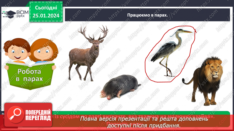 №058 - Чим цікавий світ звірів15 №058 - Чим цікавий світ звірів15