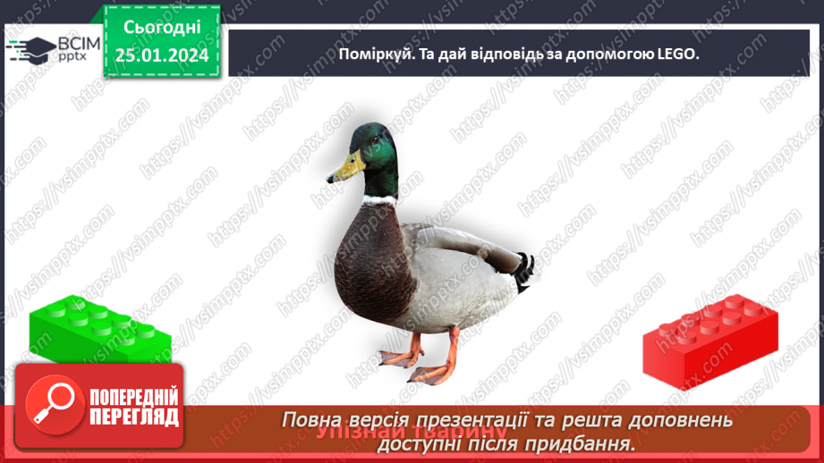 №058 - Чим цікавий світ звірів30 №058 - Чим цікавий світ звірів30