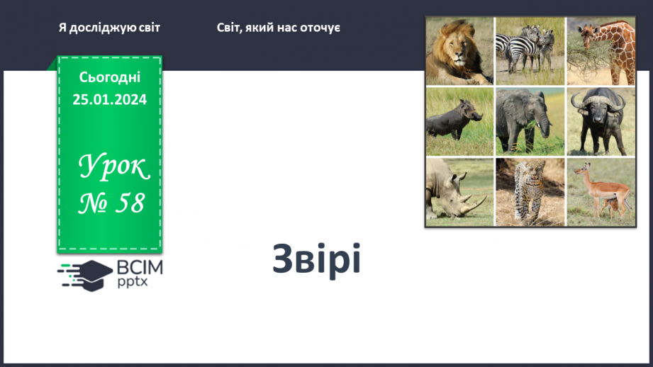 №058 - Чим цікавий світ звірів0 №058 - Чим цікавий світ звірів0