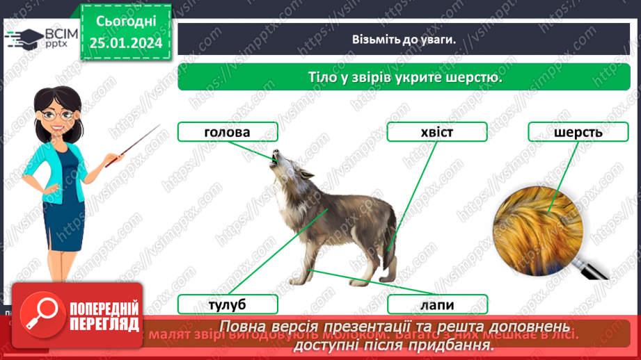 №058 - Чим цікавий світ звірів11 №058 - Чим цікавий світ звірів11
