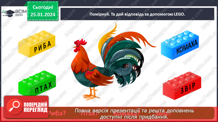 №060 - Перевір себе19 №060 - Перевір себе19