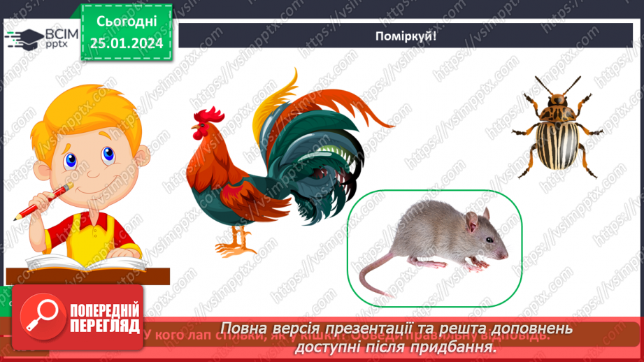 №060 - Перевір себе13 №060 - Перевір себе13