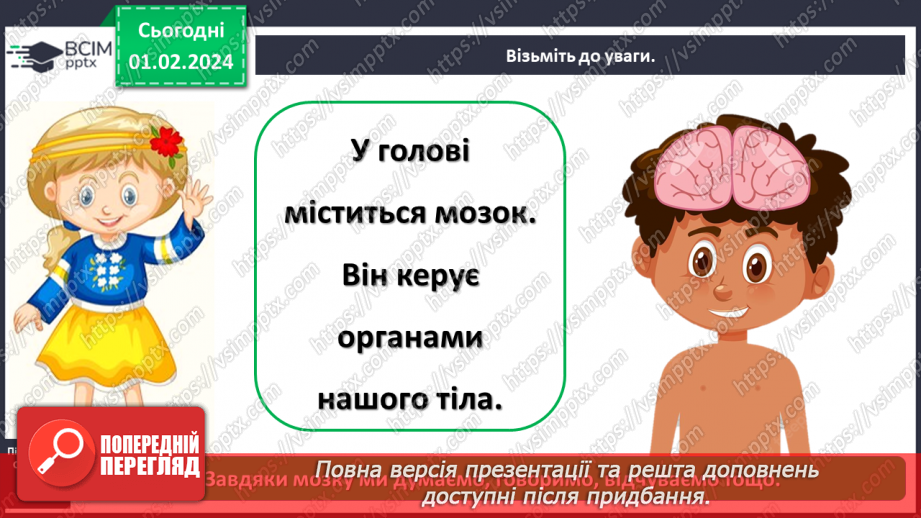 №061 - Яку будову має наше тіло13 №061 - Яку будову має наше тіло13