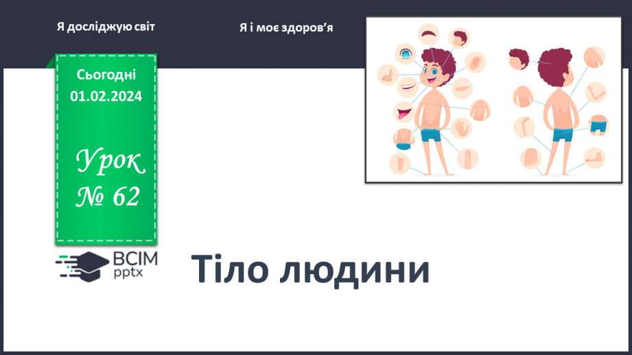 №062 - Яку будову має наше тіло0 №062 - Яку будову має наше тіло0