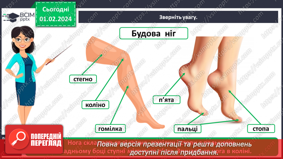 №062 - Яку будову має наше тіло11 №062 - Яку будову має наше тіло11
