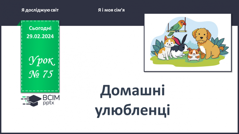№075 - Що ми знаємо про наших домашніх улюбленців0