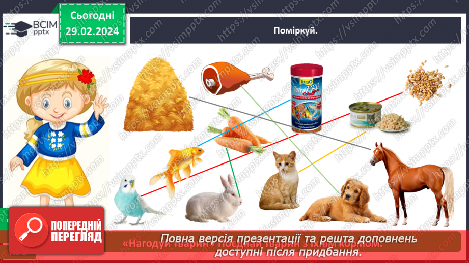 №075 - Що ми знаємо про наших домашніх улюбленців12