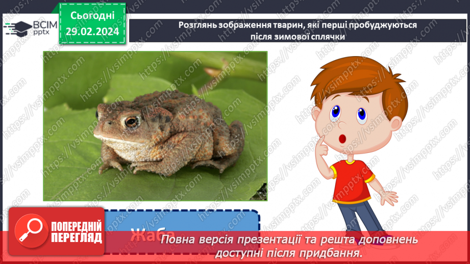 №075 - Турботи тварин навесні.13 №075 - Турботи тварин навесні.13