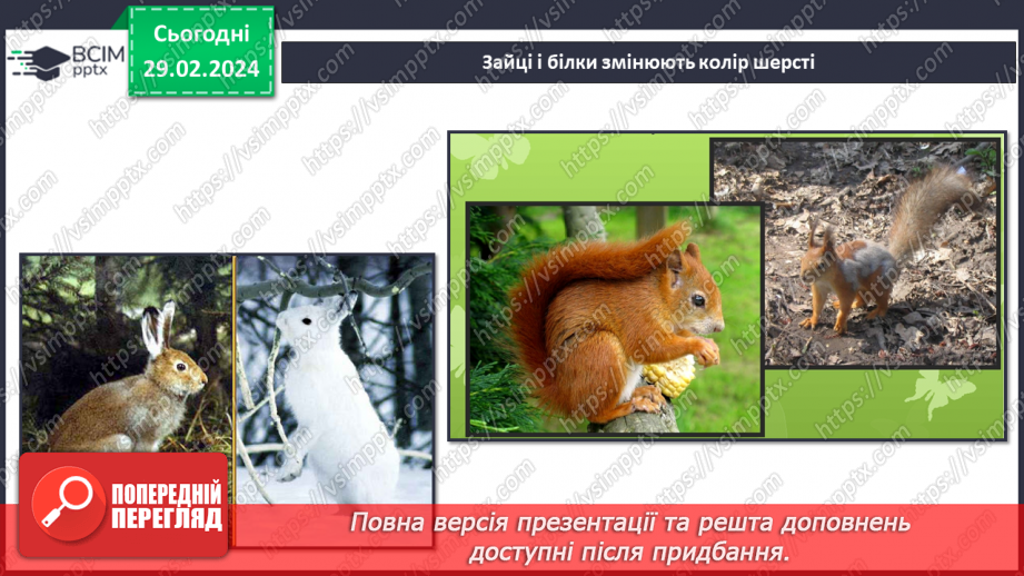 №075 - Турботи тварин навесні.29 №075 - Турботи тварин навесні.29