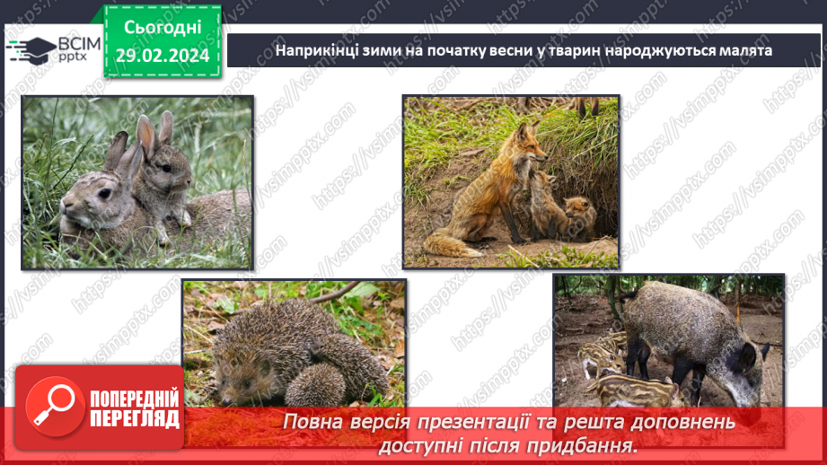 №075 - Турботи тварин навесні.30 №075 - Турботи тварин навесні.30