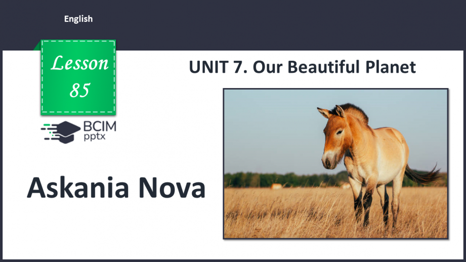№085 - Askania Nova0