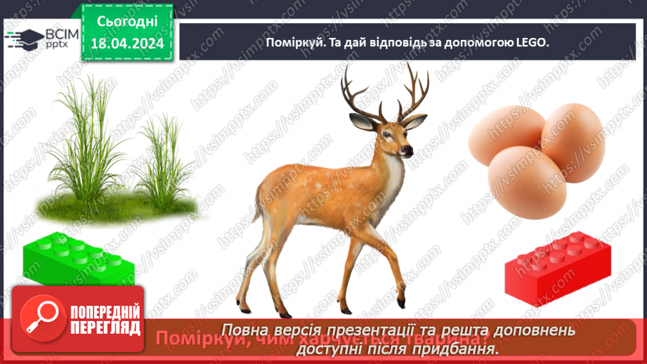 №096 - «Тварини рідного краю»23 №096 - «Тварини рідного краю»23