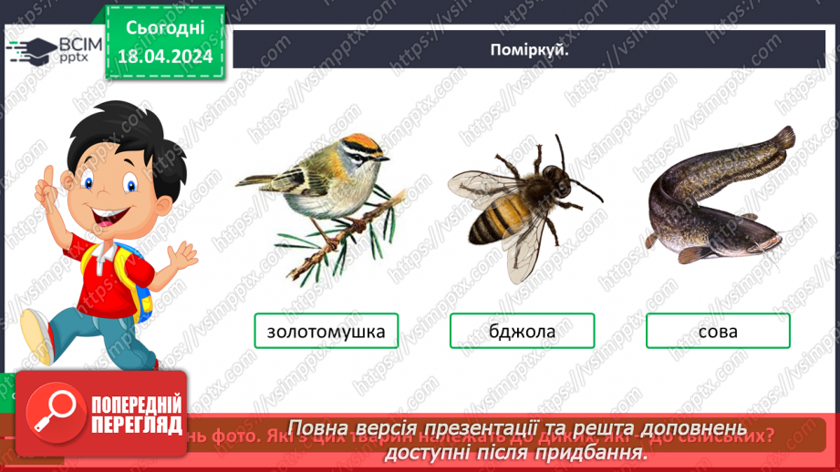 №096 - «Тварини рідного краю»18 №096 - «Тварини рідного краю»18