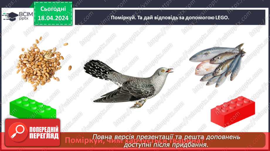 №096 - «Тварини рідного краю»29 №096 - «Тварини рідного краю»29