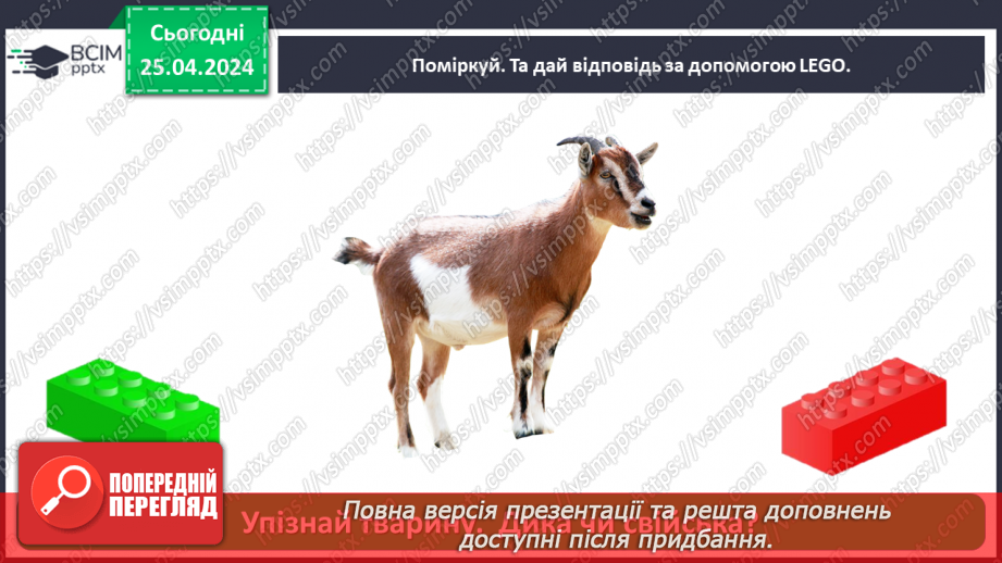 №097 - «Яких свійських тварин вирощують у рідному краї»29 №097 - «Яких свійських тварин вирощують у рідному краї»29