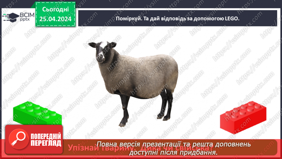 №097 - «Яких свійських тварин вирощують у рідному краї»31 №097 - «Яких свійських тварин вирощують у рідному краї»31
