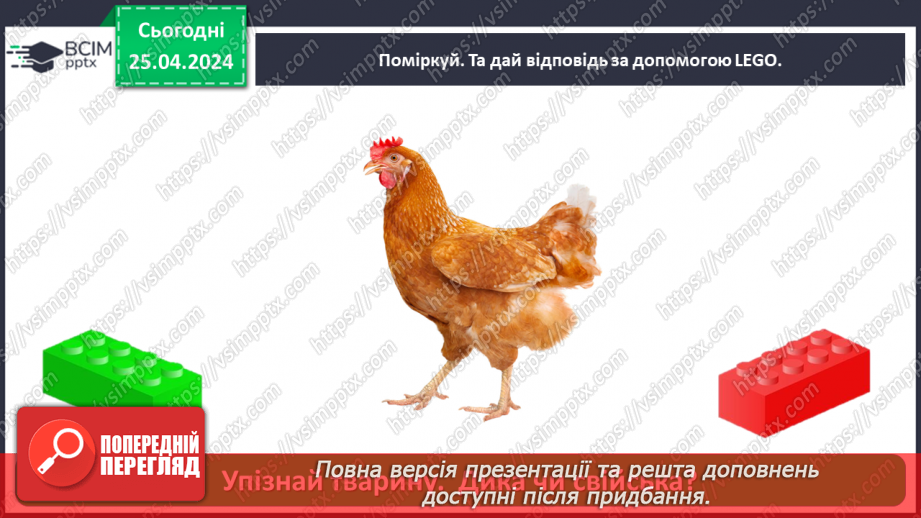 №097 - «Яких свійських тварин вирощують у рідному краї»25 №097 - «Яких свійських тварин вирощують у рідному краї»25