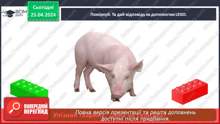 №097 - «Яких свійських тварин вирощують у рідному краї»27 №097 - «Яких свійських тварин вирощують у рідному краї»27