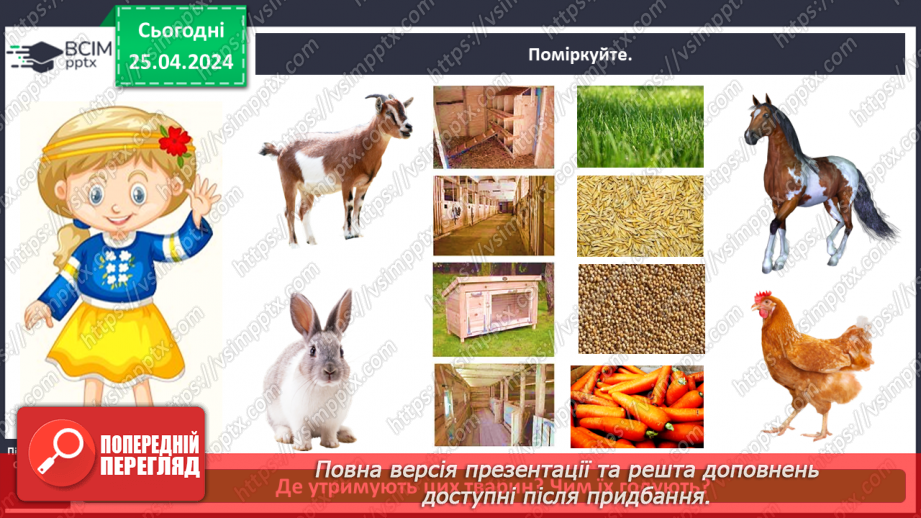 №097 - «Яких свійських тварин вирощують у рідному краї»14 №097 - «Яких свійських тварин вирощують у рідному краї»14