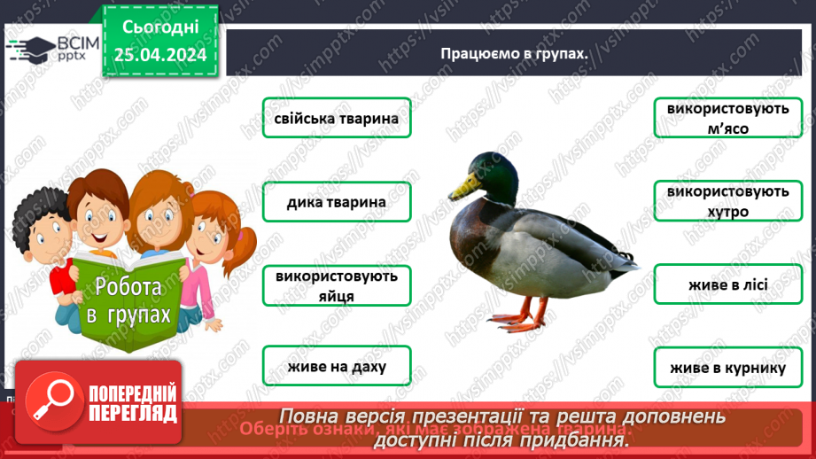 №098 - «Яких свійських тварин вирощують у рідному краї»11 №098 - «Яких свійських тварин вирощують у рідному краї»11