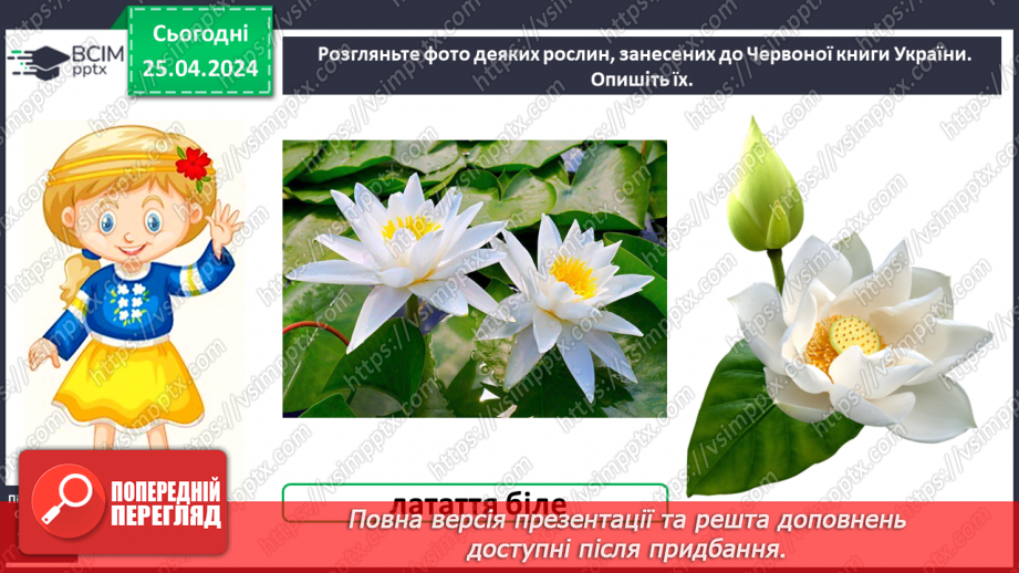 №099 - «Чому потрібно охороняти рослин і тварин»7 №099 - «Чому потрібно охороняти рослин і тварин»7