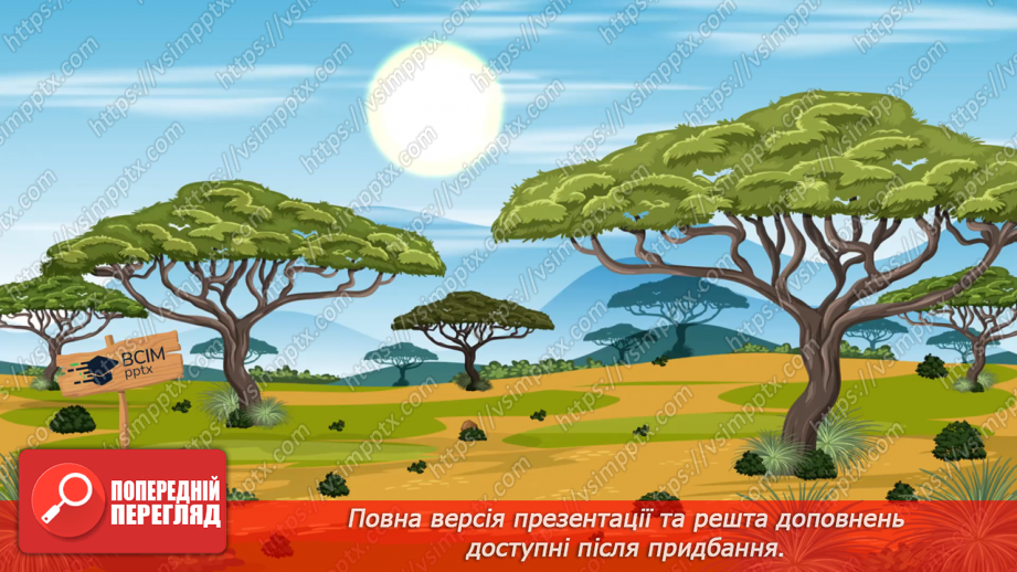 №145 - Закріплення вмінь писати вивчені букви в поєднанні.13