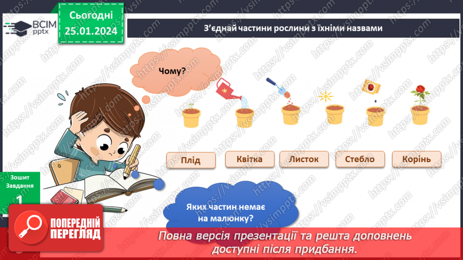 №156-157 - Рослини у моєму домі. Українська мова в інтегрованому курсі: розвиток мовлення. Я висловлюю власні погляди щодо предмету обговорення14 №156-157 - Рослини у моєму домі. Українська мова в інтегрованому курсі: розвиток мовлення. Я висловлюю власні погляди щодо предмету обговорення14