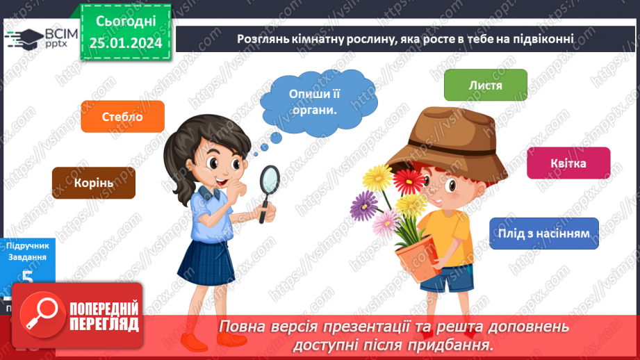 №156-157 - Рослини у моєму домі. Українська мова в інтегрованому курсі: розвиток мовлення. Я висловлюю власні погляди щодо предмету обговорення12 №156-157 - Рослини у моєму домі. Українська мова в інтегрованому курсі: розвиток мовлення. Я висловлюю власні погляди щодо предмету обговорення12